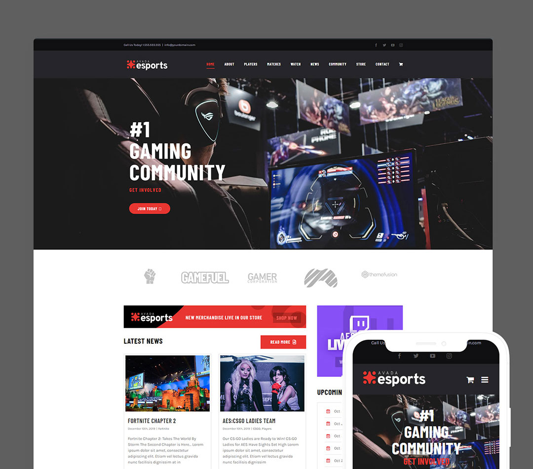 Esports Website Build portfolio-10