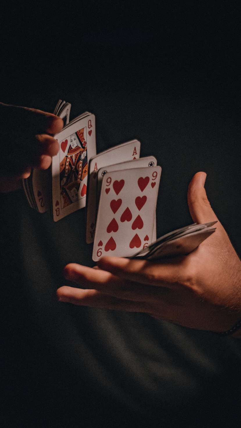 cat-casinos.org
